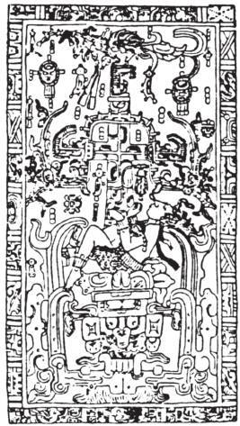 第四章 丛林深处的天空观察者