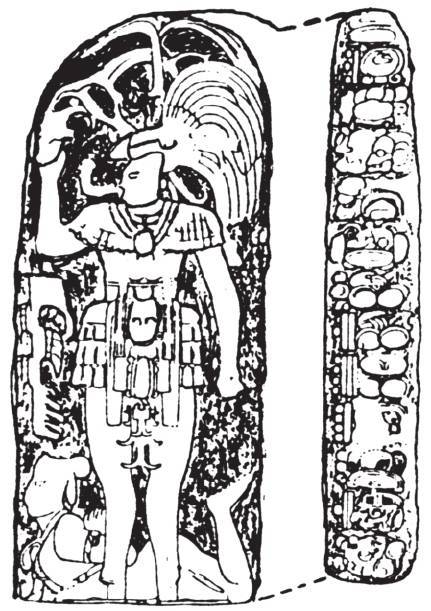 第四章 丛林深处的天空观察者