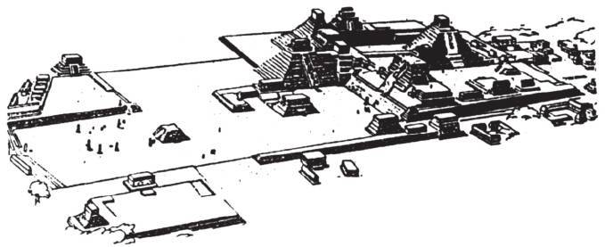 第四章 丛林深处的天空观察者