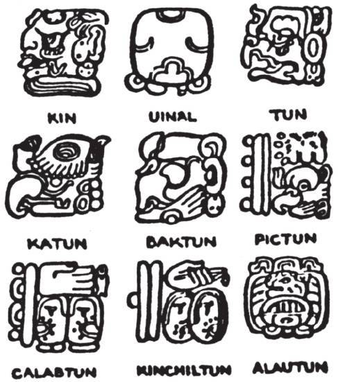 第四章 丛林深处的天空观察者