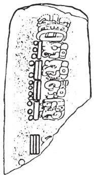 第四章 丛林深处的天空观察者