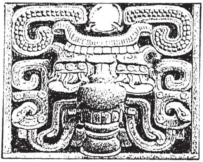 第四章 丛林深处的天空观察者