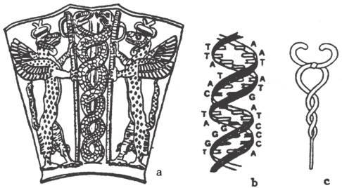 第五章 死亡与复活