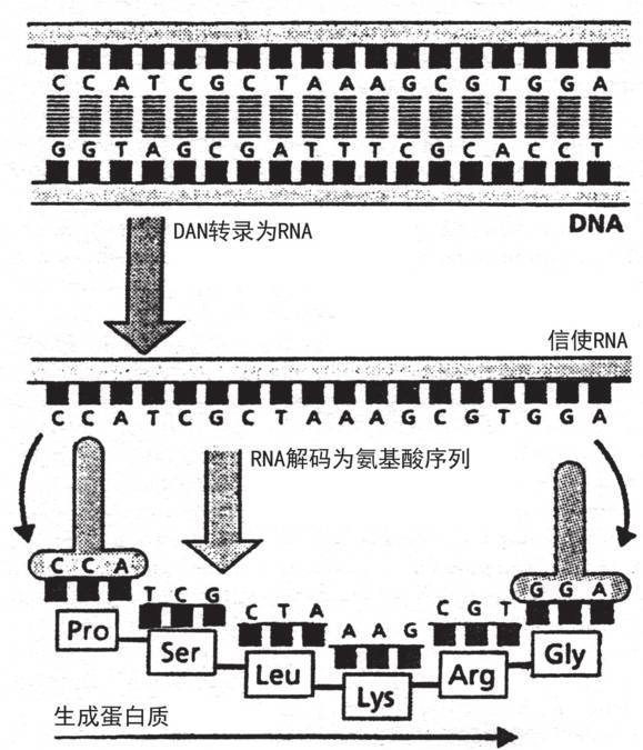 第七章 秘密的知识与神圣的文本