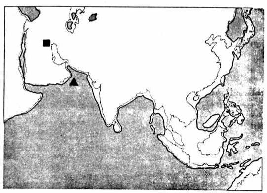 第十章 众神之城