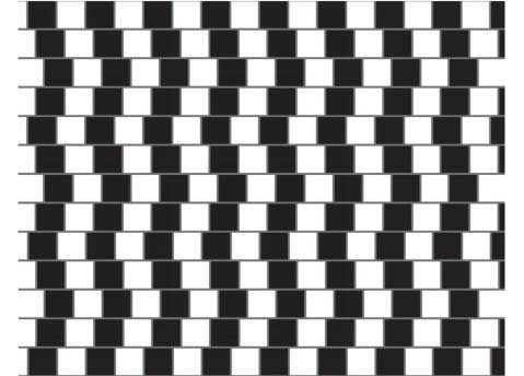 视错觉图（图中所有横线都是水平的）