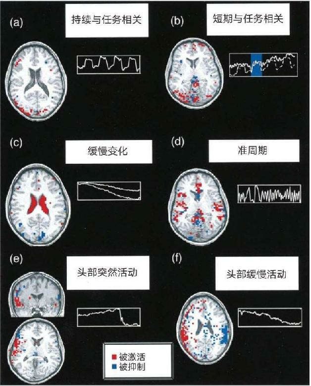 独立分量分析被应用于fMRI数据