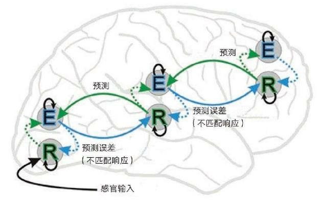 具有层级结构的预测编码框架