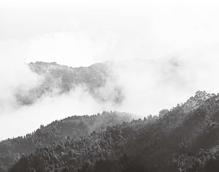 9. “五十岁，肝气始衰，肝叶始薄，胆汁始减，目始不明”- 人衰老首先从肝上表现出来