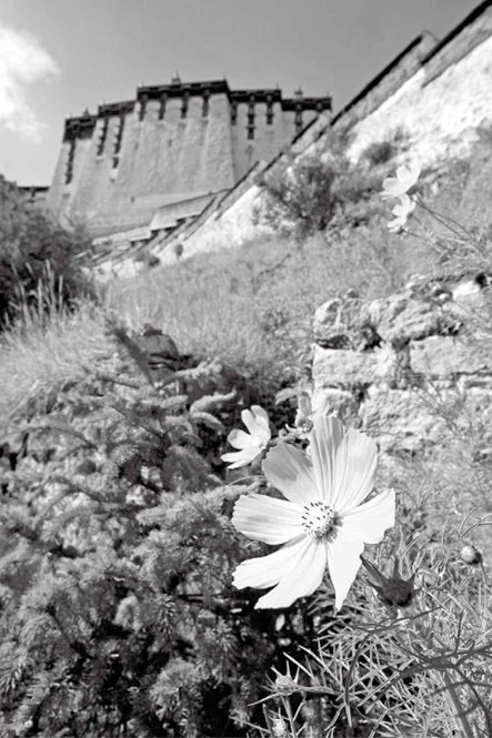 4. 修行要在红尘中