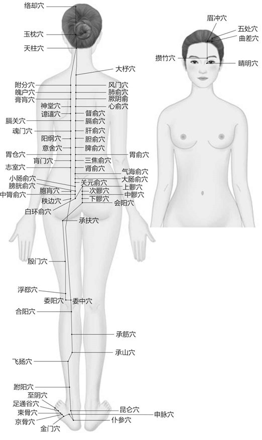 10. “逆冬气，则少阴不藏，肾气独沉”