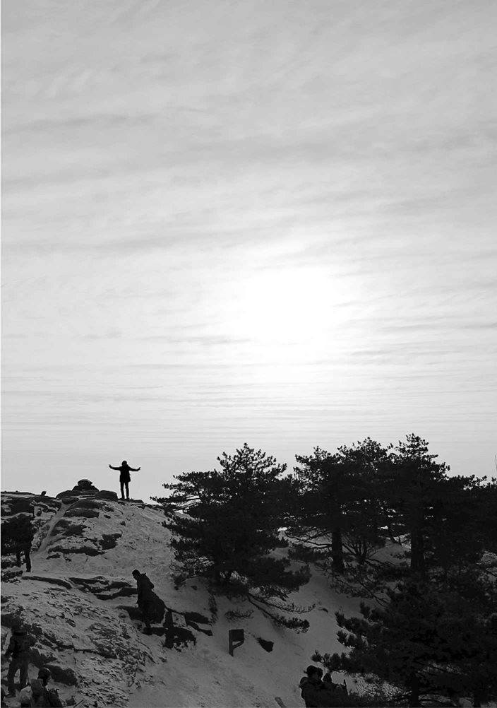 黄帝内经说什么·天年