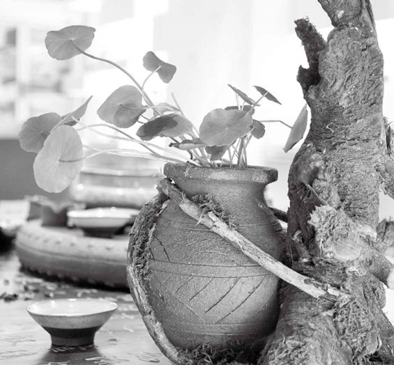 8. “逆其根，则伐其本，坏其真矣”