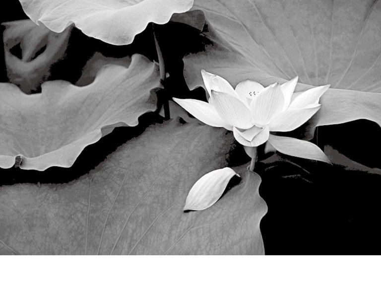 15. “皮肤枯”- 老年人要少生气，忌辛辣