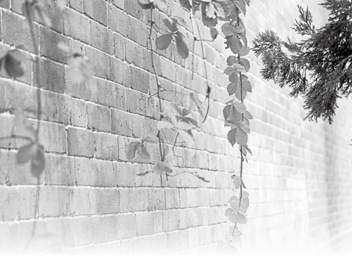 5. “以缓秋刑，收敛神气”