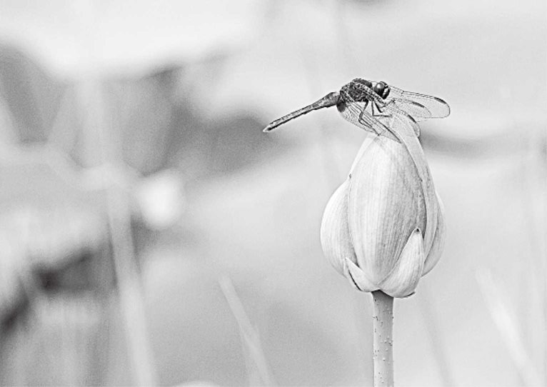 9. “使气得泄”