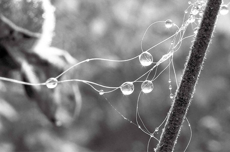 1. “愿闻人之始生，何气筑为基” - 人之所以成形是以什么为基础