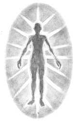 第2节 气场的构成