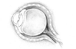 第1节 观察气场的方法