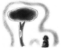 第2节 观察气场的最佳条件