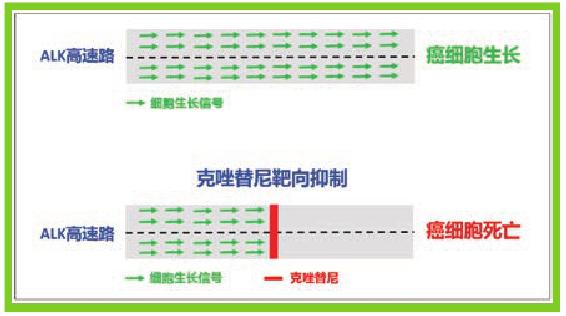 靶向药耐药以后怎么办？