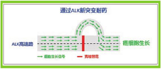 靶向药耐药以后怎么办？