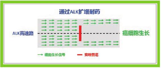 靶向药耐药以后怎么办？