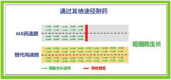 靶向药耐药以后怎么办？