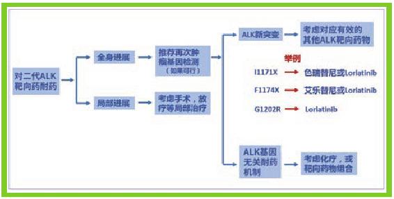 靶向药耐药以后怎么办？