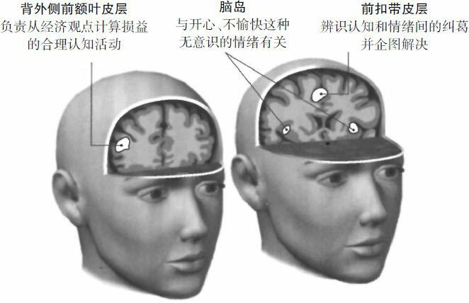 大脑痛苦的时候