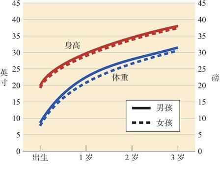 早期的生理发展