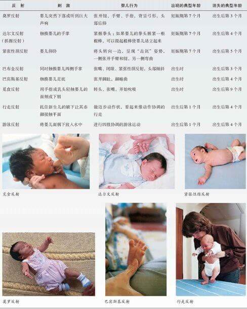 早期的生理发展