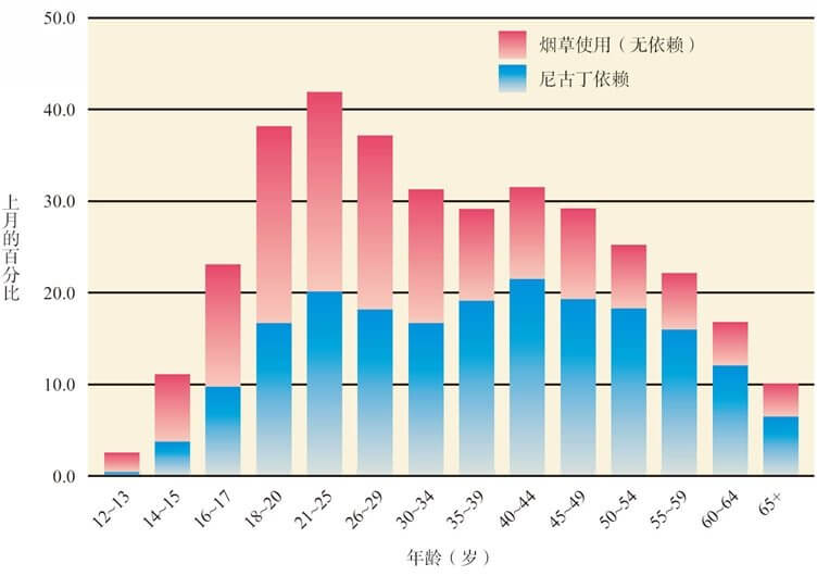 第13章 成年早期的生理和认知发展