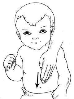 第六章 婴幼儿护理——全面打好孩子的根基