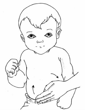 第六章 婴幼儿护理——全面打好孩子的根基