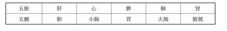 第五章 五脏与中医意象思维