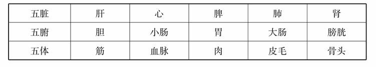 第五章 五脏与中医意象思维