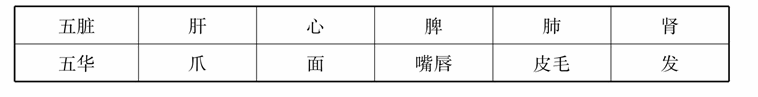 第五章 五脏与中医意象思维