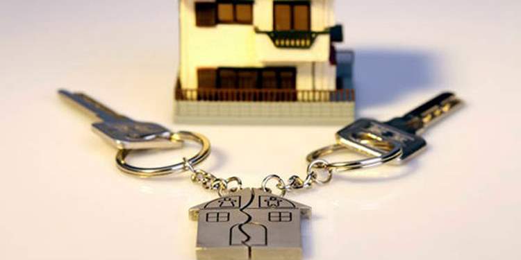 你决定如何分配财产