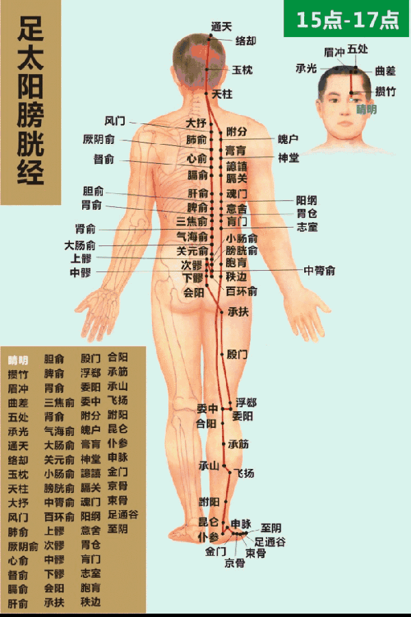 足太阳膀胱经15-17
