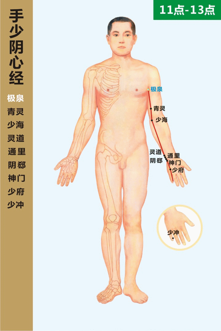 手少阴心经 11-13