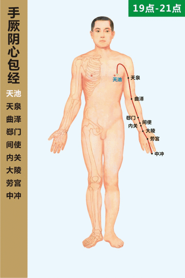 手厥阴心包经19-21