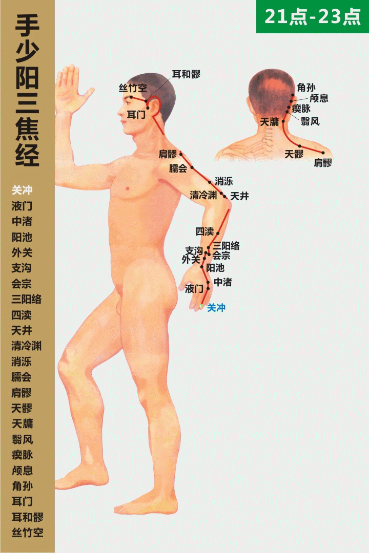 手少阳三焦经21-23
