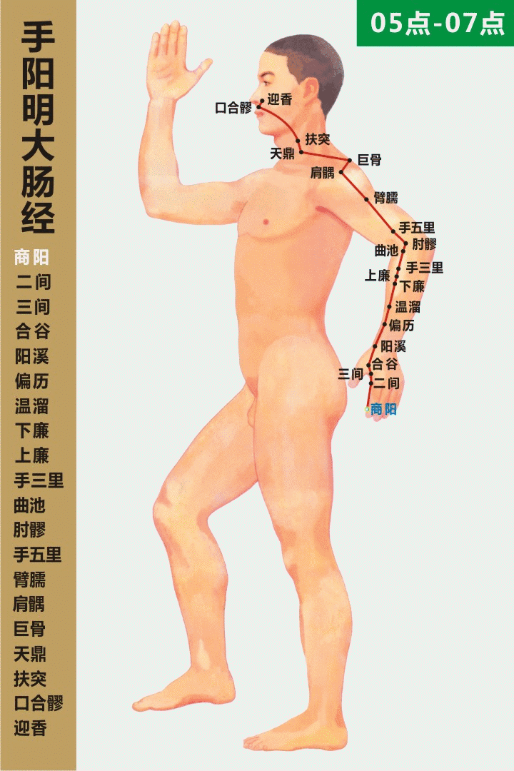 手阳明大肠经05-07