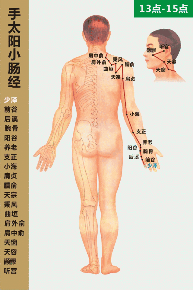 经络气血循行