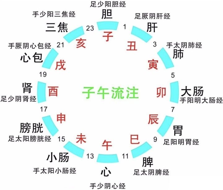 子午流注